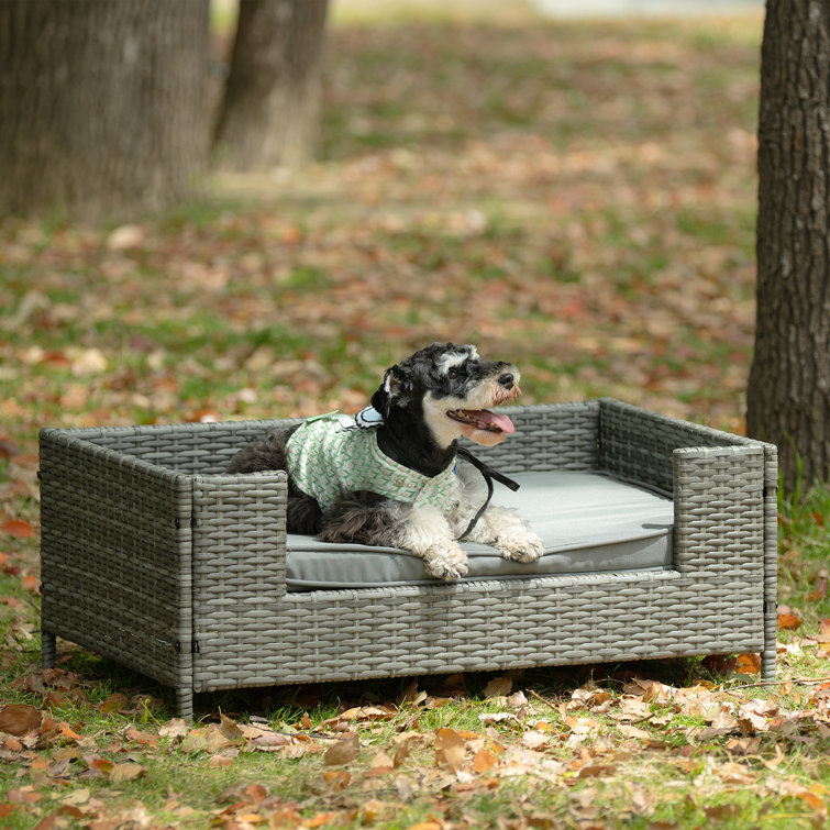 Raised dog couch sales